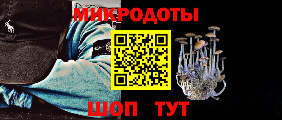 Псилоцибиновые грибы Cubensis  где можно купить наркотик  Верхняя Пышма  Вход с VPN  Галлюциногенные грибы Magic Shrooms 